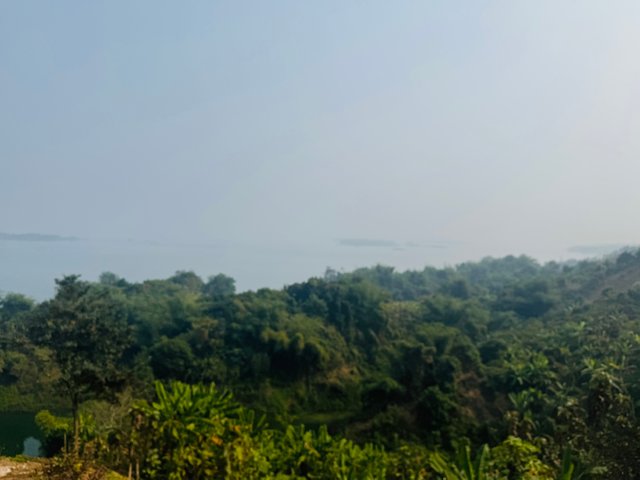 IMG_0394.jpeg