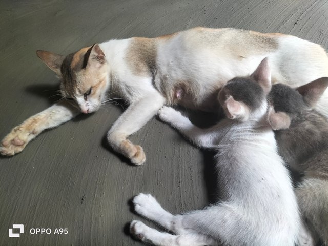 IMG20250606112335.jpg