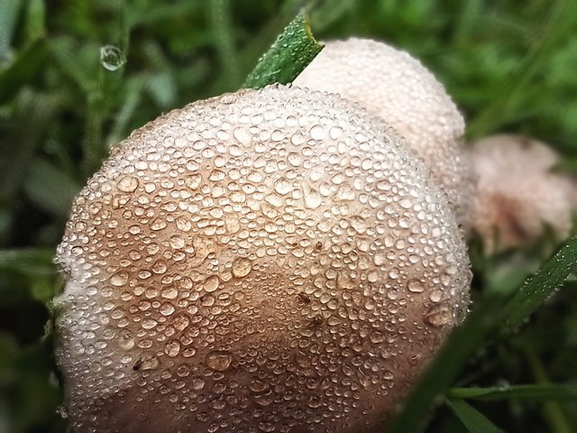 20250402_074135~2.jpg