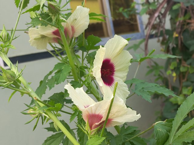 20241016_085021.jpg