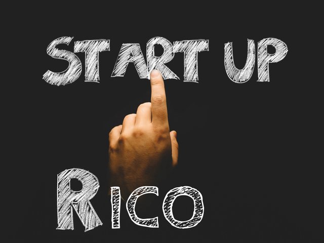 business-business-start-business-world-534203 rico.jpg