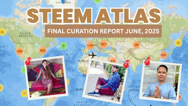 Final Curation Report June, 2025.png