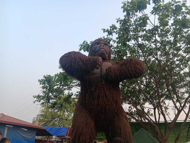 1000018978.jpg