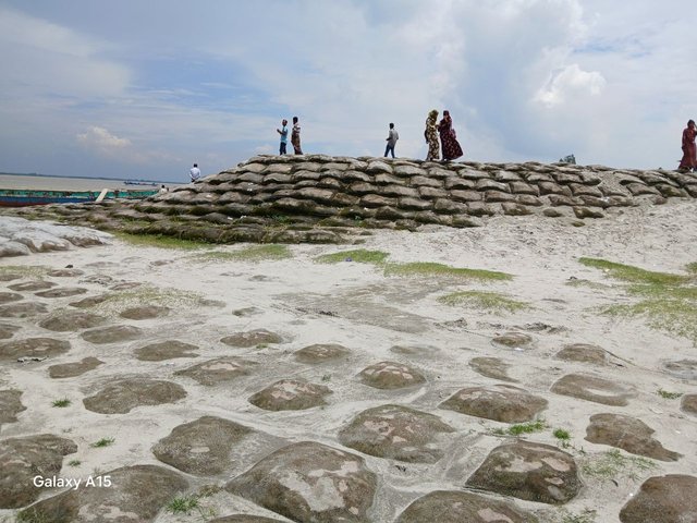 1000045363.jpg