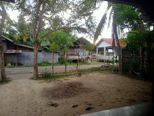 IMG20250813174623.jpg