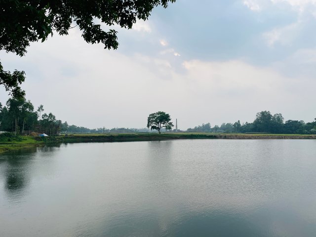 IMG_2817.jpeg