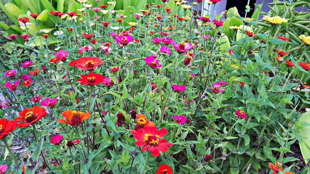 20240928_122109.jpg