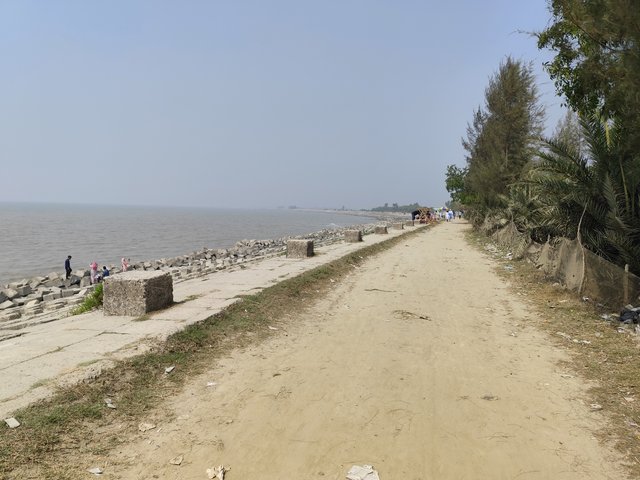 IMG_20250224_121219.jpg