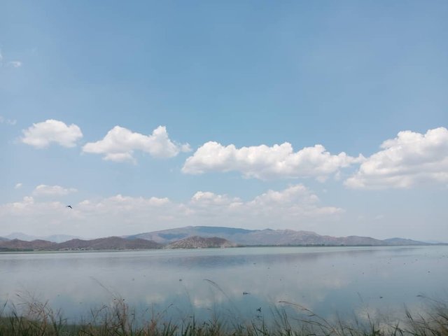 Imagen de WhatsApp 2025-04-18 a las 12.30.47_4470ce08.jpg