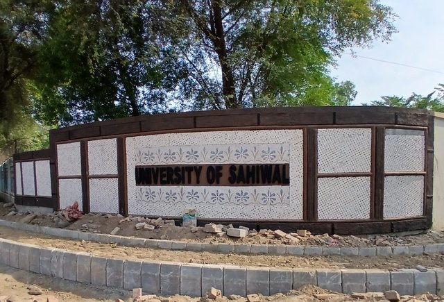 1000081990.jpg