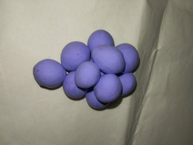 1000031034.jpg