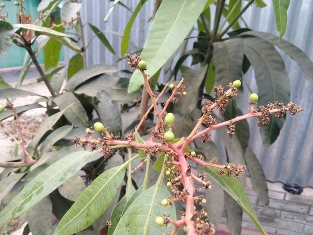 IMG20250320163356.jpg
