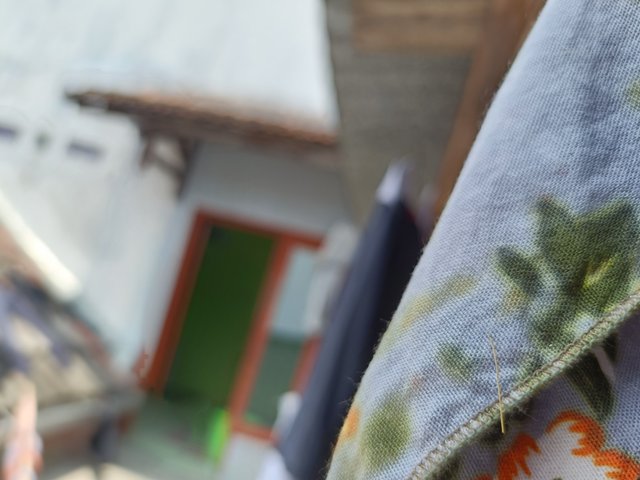 IMG20240922105824.jpg