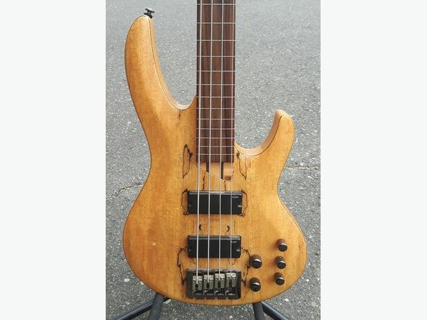 lined-fretless.jpeg