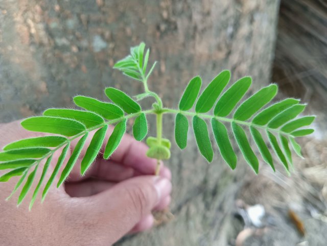 IMG20250509154247.jpg