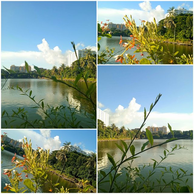 20250928_122636.jpg