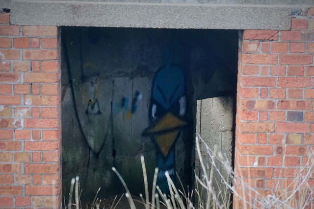 Graffitti (2).JPG