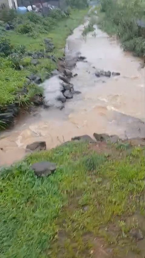 VID-20250727-WA0026.jpg