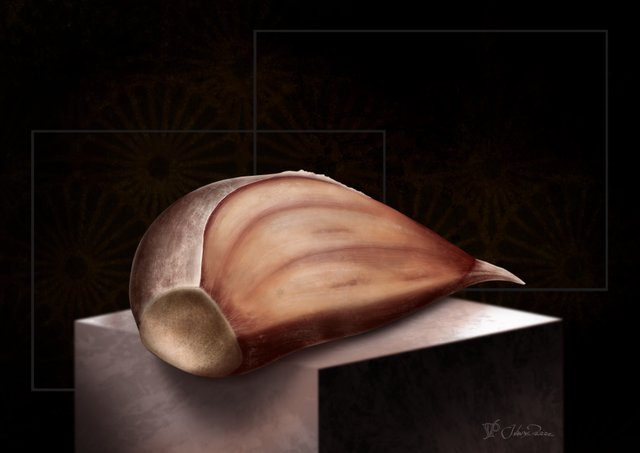 garlic.jpg