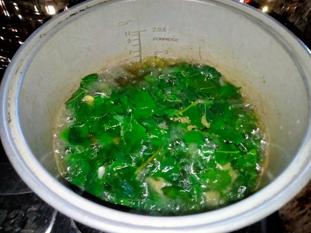 IMG20250609123229.jpg