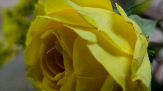20250512_001751.jpg
