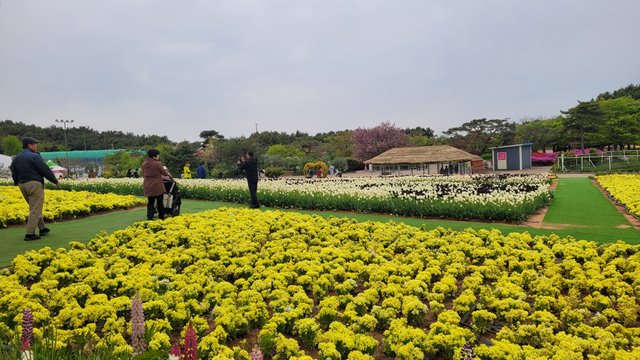 1000041931.jpg