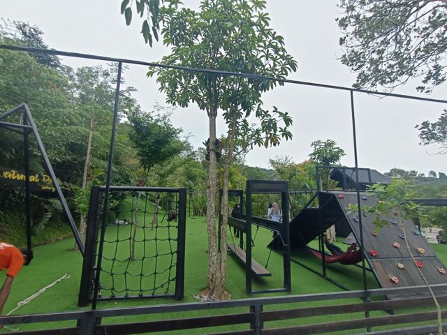 IMG20250603141737.jpg
