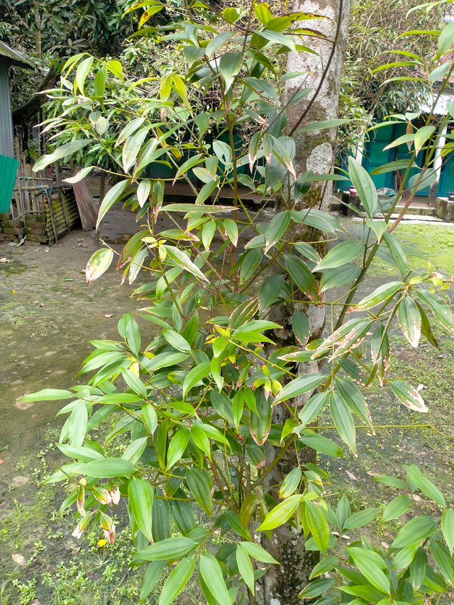 IMG20250913111911.jp