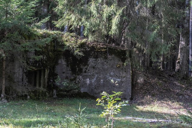 DSC05214.jpg