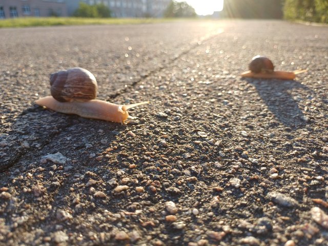 20250624_054238.jpg