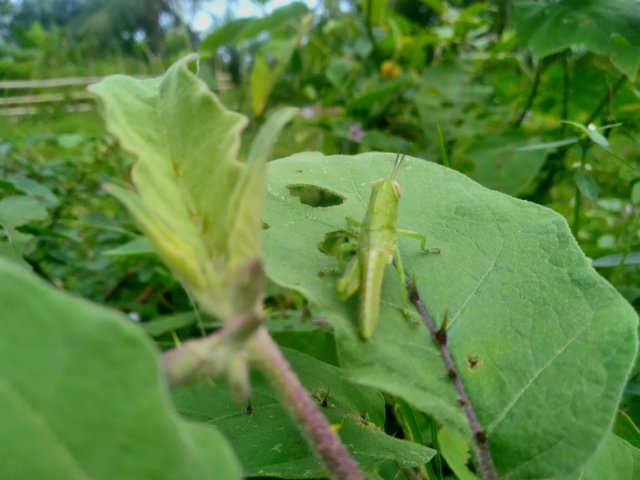 20250511_100723.jpg
