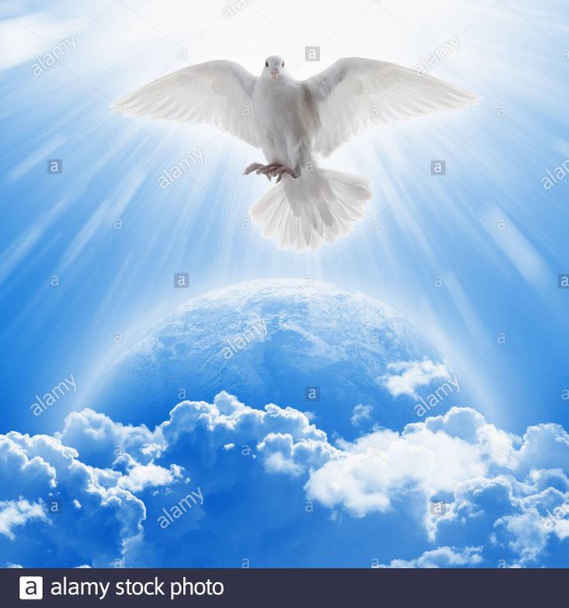 white-dove-symbol-of-love-and-peace-flies-above-planet-earth-elements-of-this-image-furnished-by-nasa-2BFATGB.jpg