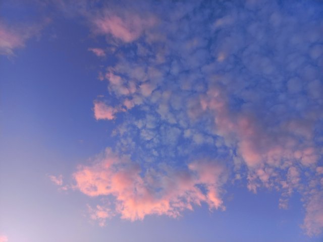 1000062571.jpg