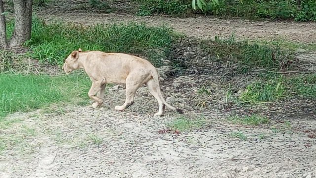 IMG-20250808-WA0026.jpg