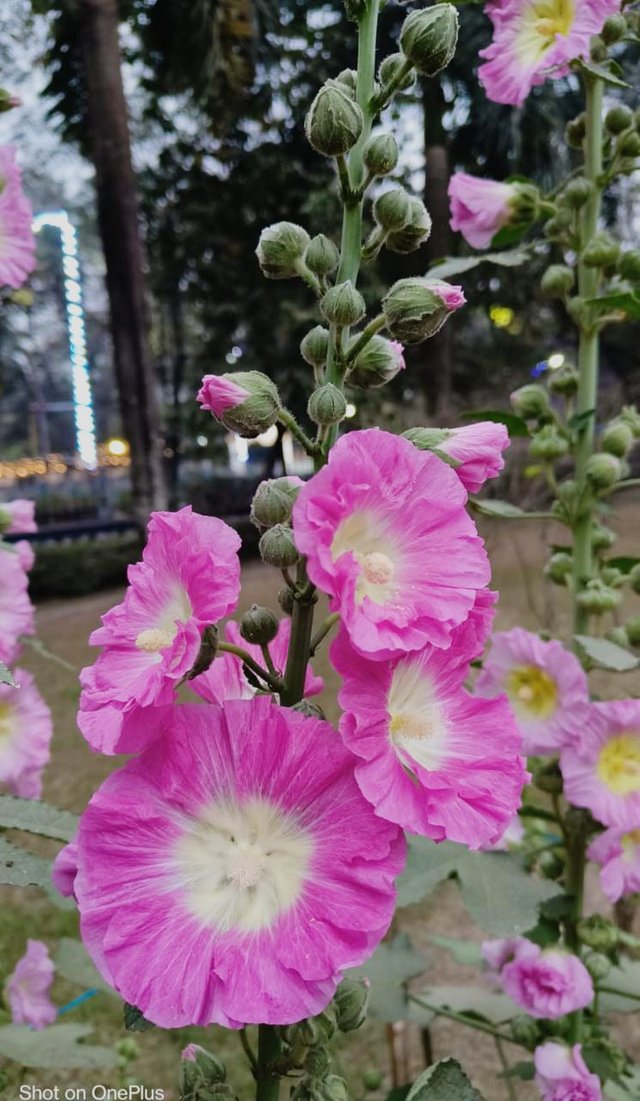 WhatsApp Image 2023-04-03 at 11.58.42 PM (1).jpeg