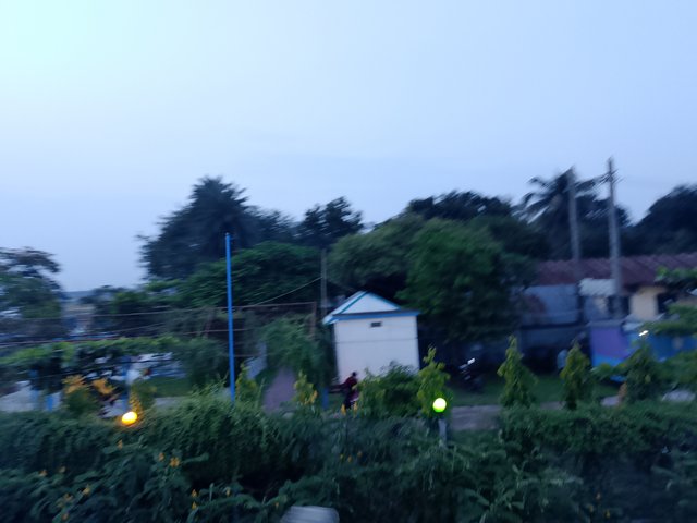 1000040569.jpg