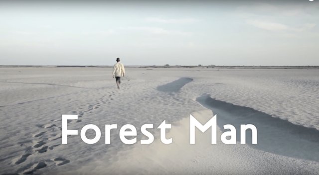 Forest Man Cover.jpg