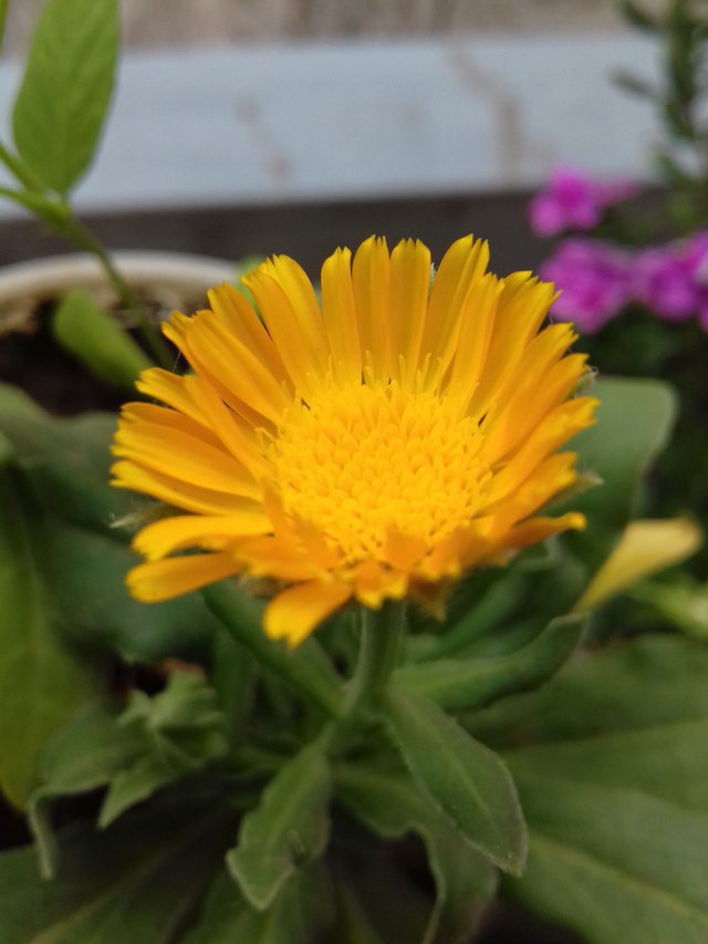 20190505_074128.jpg