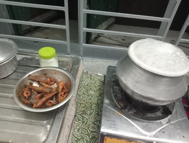 IMG20250412212416.jpg
