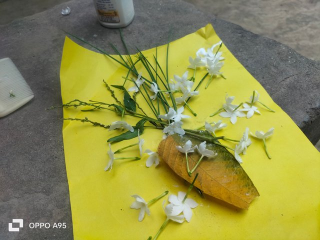 IMG20250521145243.jpg