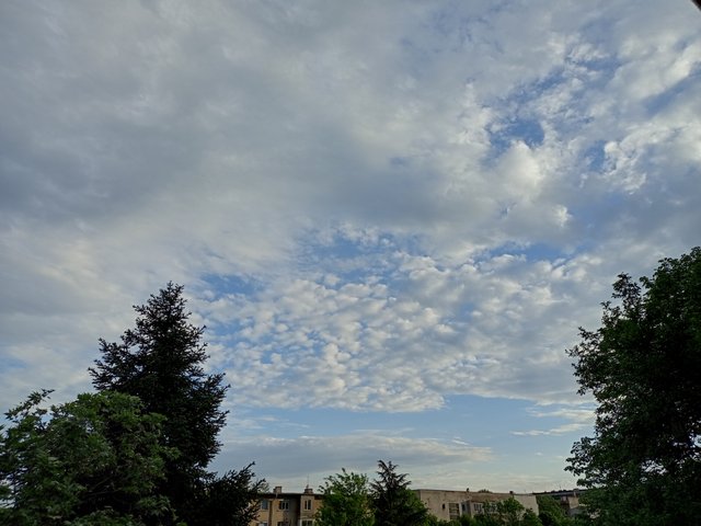 IMG_20250505_191513.jpg