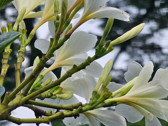 20250621_162312.jpg
