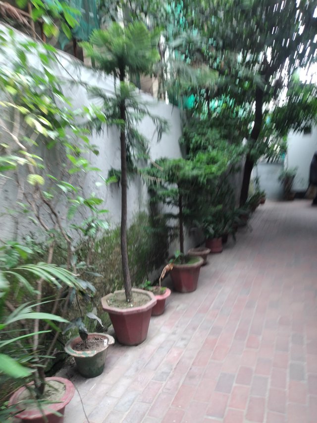 20250630_082242.jpg