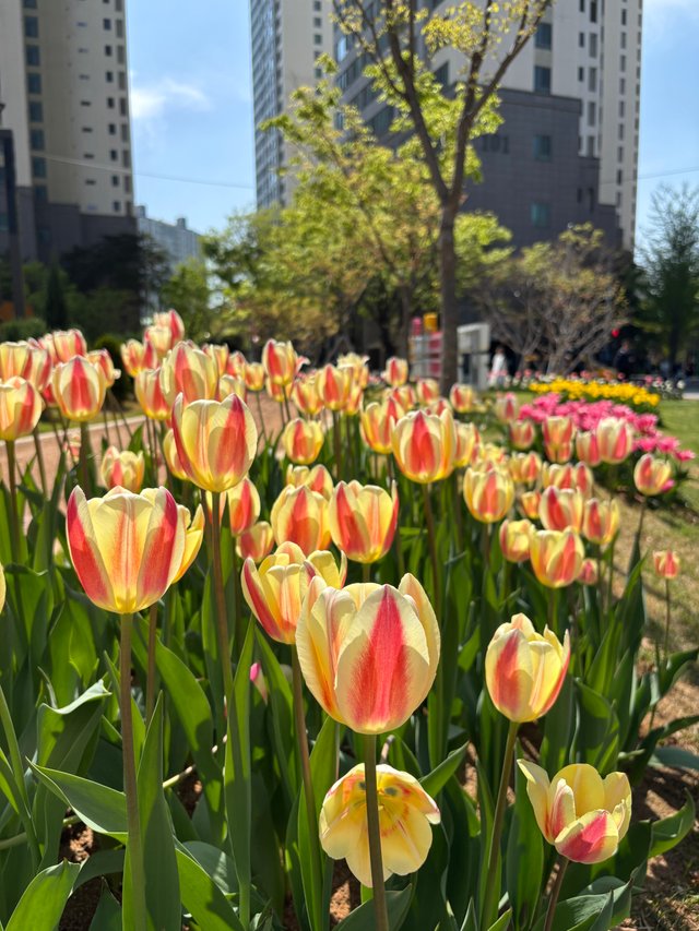 IMG_0853.jpeg