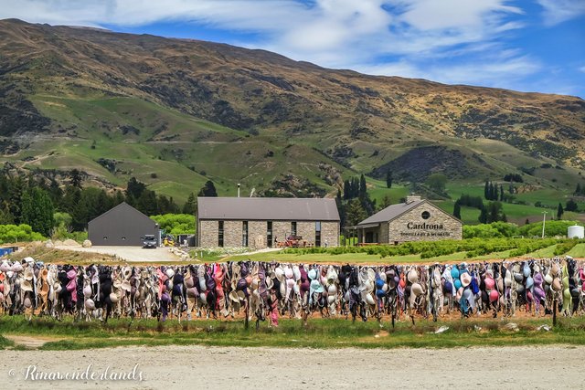 The Cardrona Bra Fence