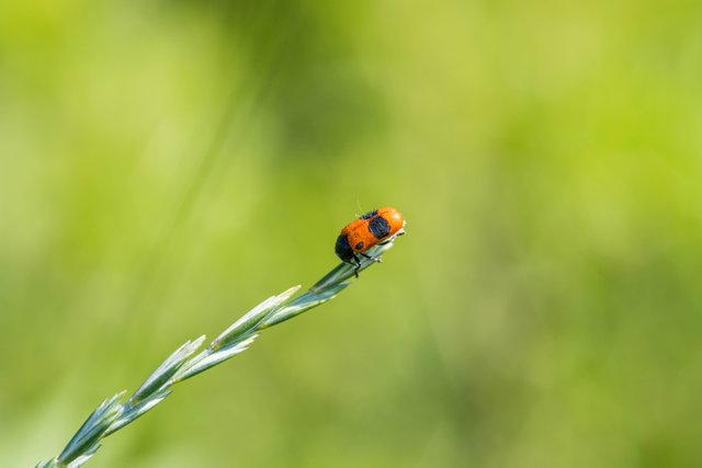 DSC_8337.jpg