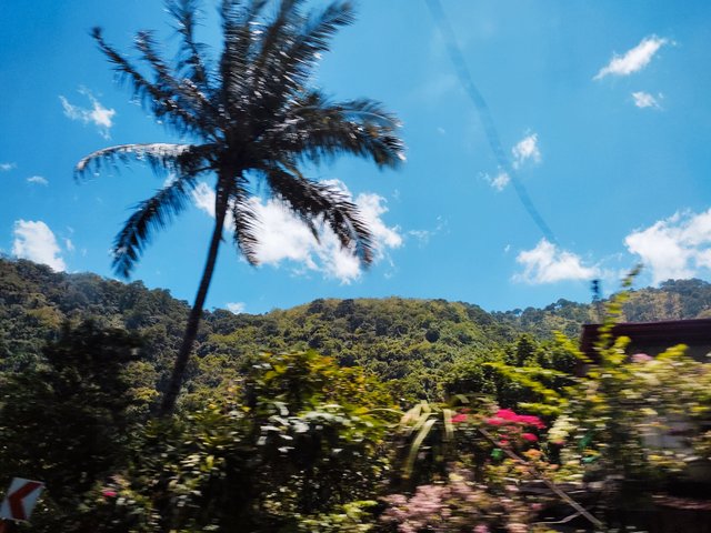 IMG_20250520_081452.jpg