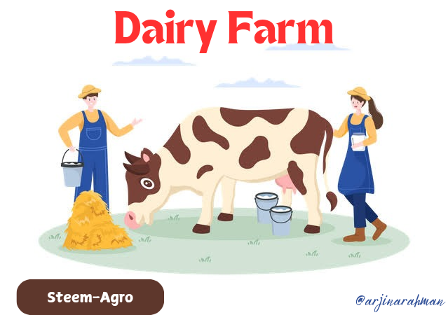 Dairy Farm_20241111_164336_0000.png