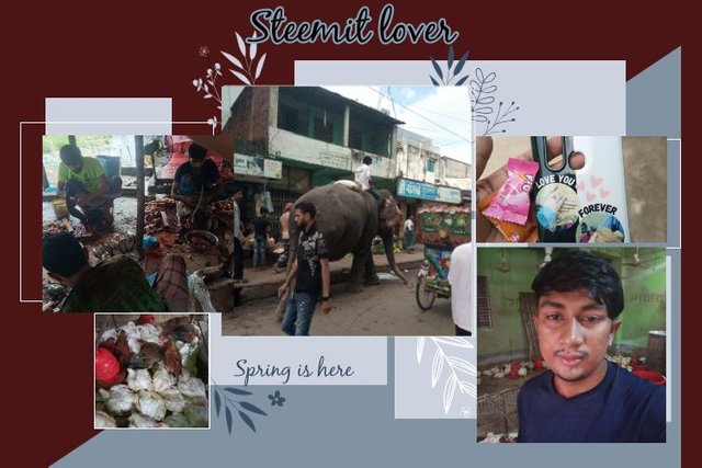 wepik-2023-8-19-11-18-10-Spring-Photo-Collage.jpg