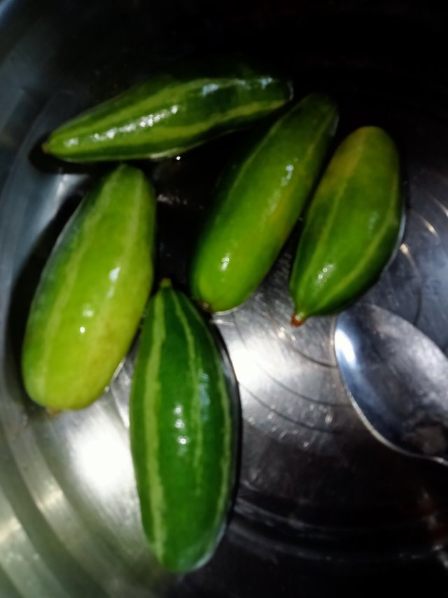 IMG20250706094517.jpg